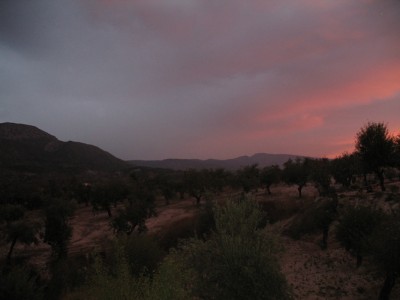Olivenim Abendrot (9).JPG