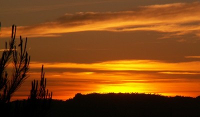 PICT0069.JPG, x.jpg