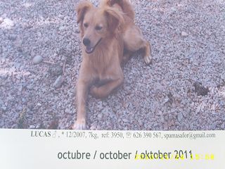 k-Kalender Gandia11.JPG