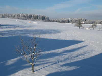Winter 2010-11 - 1 .JPG