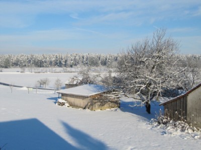 Winter 2010-11 - 2.JPG