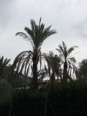 IMG_6790.JPG