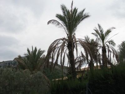 IMG_6791.JPG