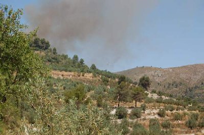 Brandstelle in unmittelbarer Nachbarschaft