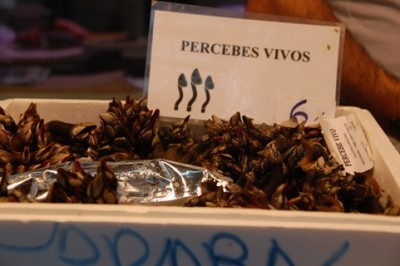 Markthalle Valencia 9/2009 - Entenmuscheln