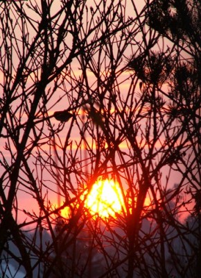 PICT0018.JPG, x.jpg