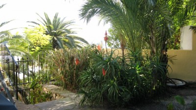 gartenundaußenanstrich 022 [1024x768].JPG