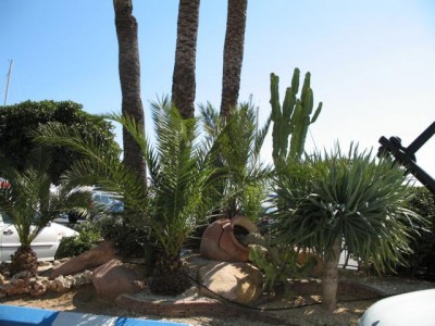 Garten6.JPG (69.71 KiB) 3592 mal betrachtet Mäuerchen