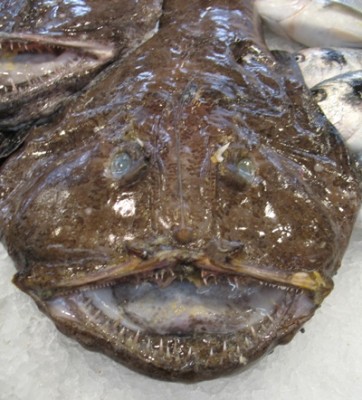 Rape entera, 9 Euro pro kg, wenn der ganze Fisch gekauft wird.