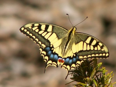 PICT0063.JPG