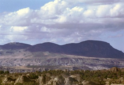 imm007.JPG