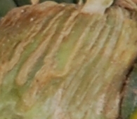 Wovon könnte ich ein Teil sein?