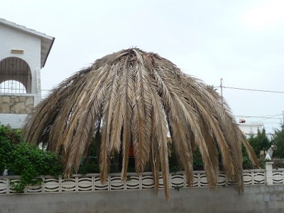 P1080167.JPG