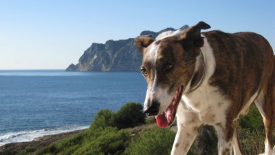 frühling 019 [1024x768].JPG