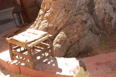 DSC_0146 Suhl.JPG (189.44 KiB) 5913 mal betrachtet Dieser Hocker stand an der Wurzel eines gewaltigen Eukalyptusbaumes