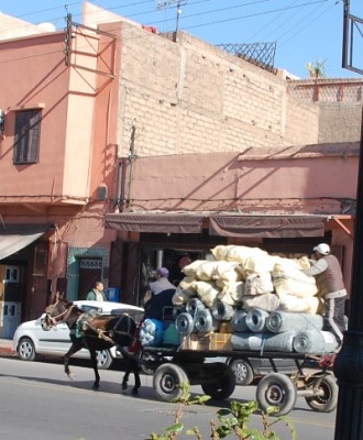 DSC_0006 Transport.JPG