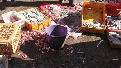 Fische werden auf der Straße ausgenommen.