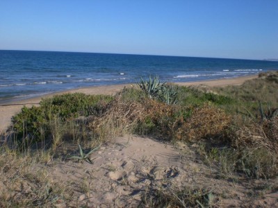 CIMG3070.jpg (182.62 KiB) 2769 mal betrachtet nochmal die Dünen