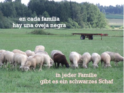 schwarzes Schaf.jpg