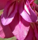 PICT0008.JPG, x2.jpg