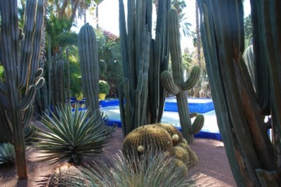 DSC_0127 Majorelle.JPG