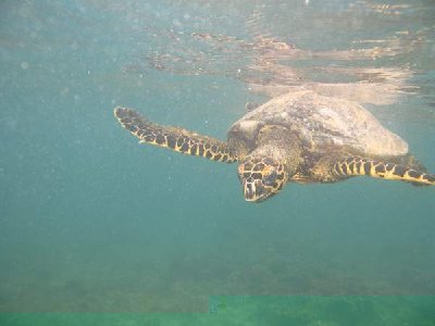 Da habe ich einen Riesenschreck bekommen, als sie plötzlich vor mir auftauchte