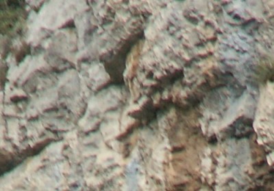 PICT0009.JPG, xx 1.jpg