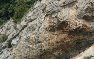 PICT0009.JPG, xxx 1.jpg