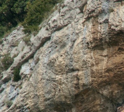 PICT0009.JPG, x 2.jpg