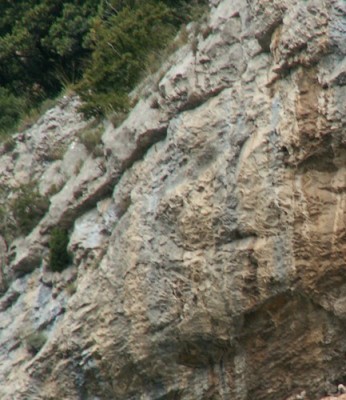 PICT0009.JPG, x3.jpg