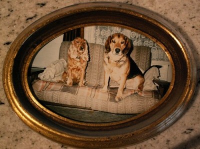 PICT0001.JPG, x.jpg (71.46 KiB) 2961 mal betrachtet PICT0001.JPG, x.jpg