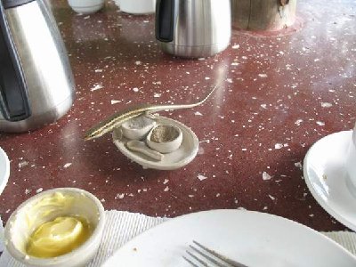 Mitesser gab es hier und da...