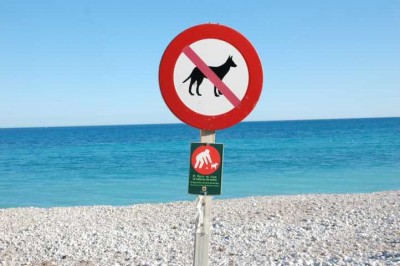 DSC_0175.JPG (97.94 KiB) 2455 mal betrachtet Text auf dem kleinen Schild: Der Hund gehört dir - die Straße allen.