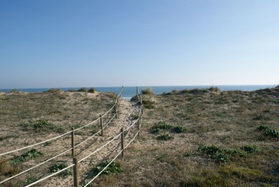 Dünen gabs auch