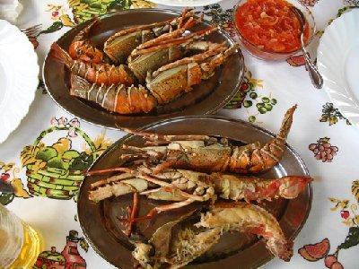 Lobster