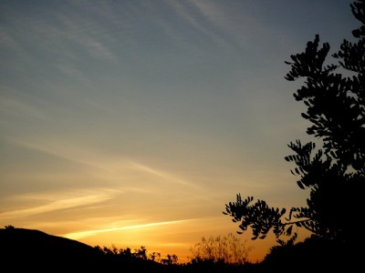 P1090256.JPG