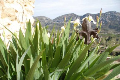 flor de lis (weiß)