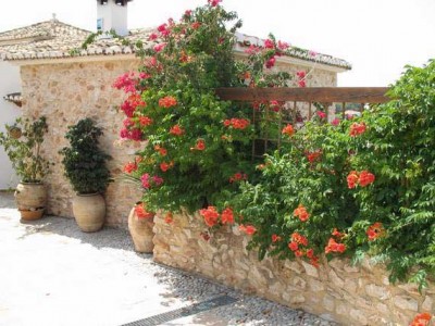 Rankgitter der Marke Eigenbau ;-)