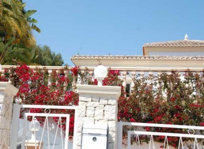 Bougi2.JPG (77.25 KiB) 2561 mal betrachtet an der Costa Blanca