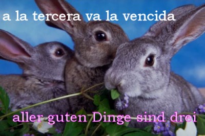 aller guten Dinge.jpg