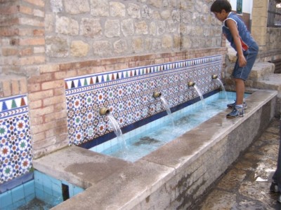ALM00245_25082008.jpg