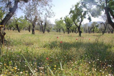 Und so sieht die Arbeit aus, die noch vor mir liegt.