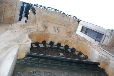 Casa del Pavo