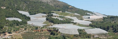 Landschaft unter der Haube: Gegend um Callosa