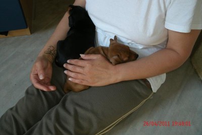 cbf4.jpg (55.67 KiB) 1439 mal betrachtet Schlafen und Großwerden lautet die Devise