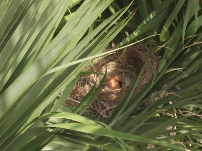 "Jedem Anfang wohnt ein Zauber inne, der uns beschützt und der uns hilft, zu leben!"<br />Hermann Hesse