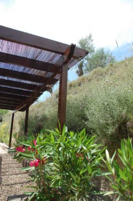 Terr. Bambus.JPG (82.1 KiB) 1871 mal betrachtet Carportbeschattung