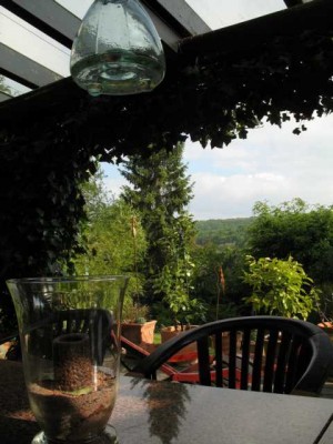 Terrr. 1.JPG (42.06 KiB) 1844 mal betrachtet Man kann unter einem Glasdach auch bei warmen Regenwetter draußen sitzen und kann sich trotzdem wie unter freiem Himmel fühlen.