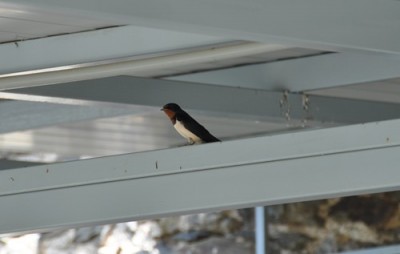 Bilder Ferien 2011 057.jpg, x.jpg