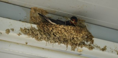 Bilder Ferien 2011 059.jpg, x.jpg